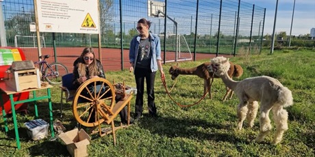 Powiększ grafikę: Uczniowie podczas warsztatów.
