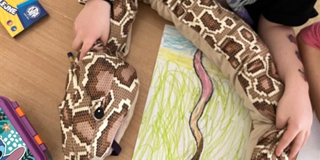 Powiększ grafikę: Światowy Dzień Pluszowego Misia w naszej szkole