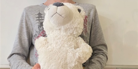 Powiększ grafikę: Światowy Dzień Pluszowego Misia w naszej szkole