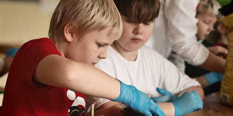 Powiększ grafikę: Roślinka upamiętniająca bohatera narodowego - uczniowie podczas zajęć.