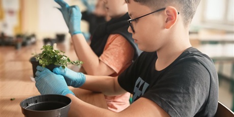 Powiększ grafikę: Roślinka upamiętniająca bohatera narodowego - uczniowie podczas zajęć.