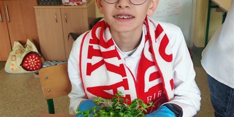 Powiększ grafikę: Roślinka upamiętniająca bohatera narodowego - uczniowie podczas zajęć.