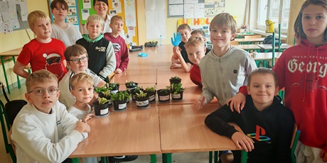 Powiększ grafikę: Roślinka upamiętniająca bohatera narodowego - uczniowie podczas zajęć.