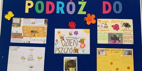 Powiększ grafikę: Świętowanie Międzynarodowego Dnia Pszczół