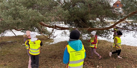 Powiększ grafikę: Wyjście dzieci do parku