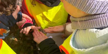 W poszukiwaniu wiosny