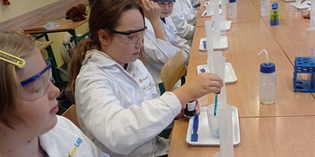 Powiększ grafikę: Udział uczniów w zajęciach