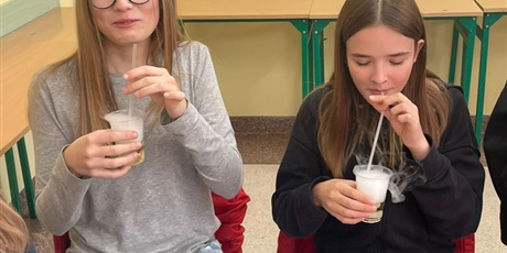 Powiększ grafikę: Udział uczniów w zajęciach