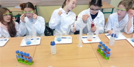 Powiększ grafikę: Udział uczniów w zajęciach