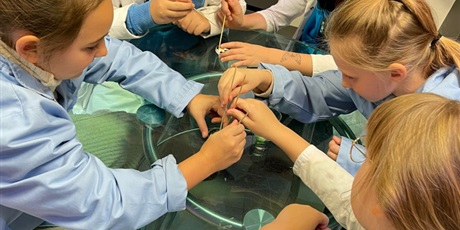 Powiększ grafikę: Dzieci podczas warsztatów