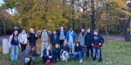 Powiększ grafikę: Udział uczniów w wolontariacie.