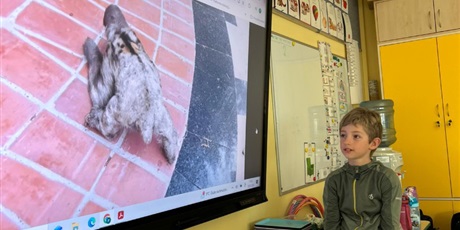 "Wycieczka" do Kolumbii