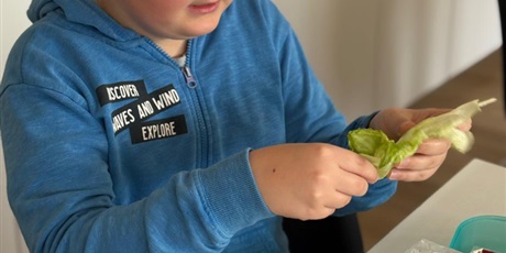 Powiększ grafikę: zdrowe-i-kolorowe-kanapki-682131.jpg