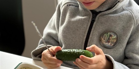 Powiększ grafikę: zdrowe-i-kolorowe-kanapki-682147.jpg