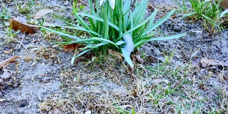 Powiększ grafikę: „Złapmy wiosnę razem”