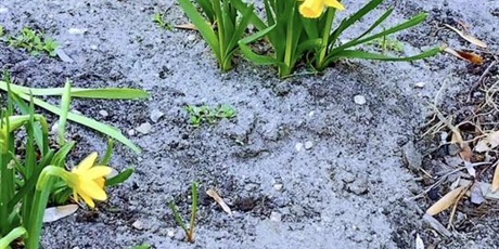 Powiększ grafikę: „Złapmy wiosnę razem”