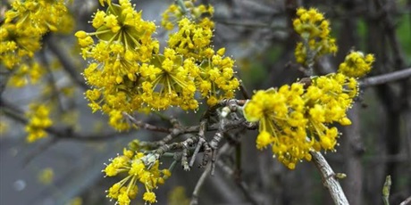 Powiększ grafikę: „Złapmy wiosnę razem”