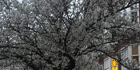 Powiększ grafikę: „Złapmy wiosnę razem”