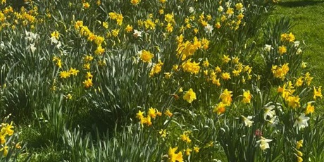 Powiększ grafikę: „Złapmy wiosnę razem”