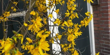 Powiększ grafikę: „Złapmy wiosnę razem”