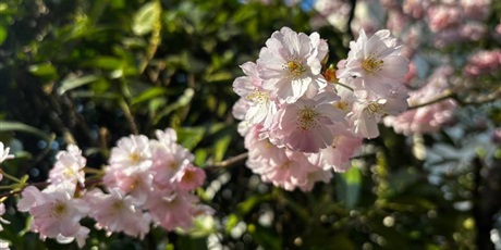 Powiększ grafikę: „Złapmy wiosnę razem”