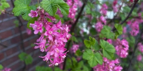 Powiększ grafikę: „Złapmy wiosnę razem”