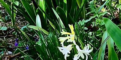 Powiększ grafikę: „Złapmy wiosnę razem”